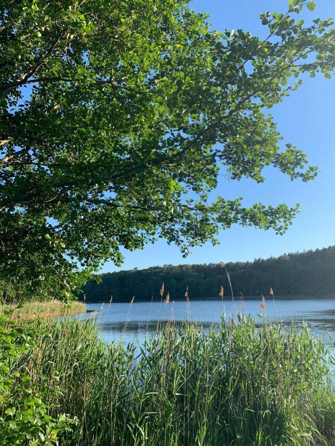 Campingplatz Miedzy Nami Nad Jeziorem