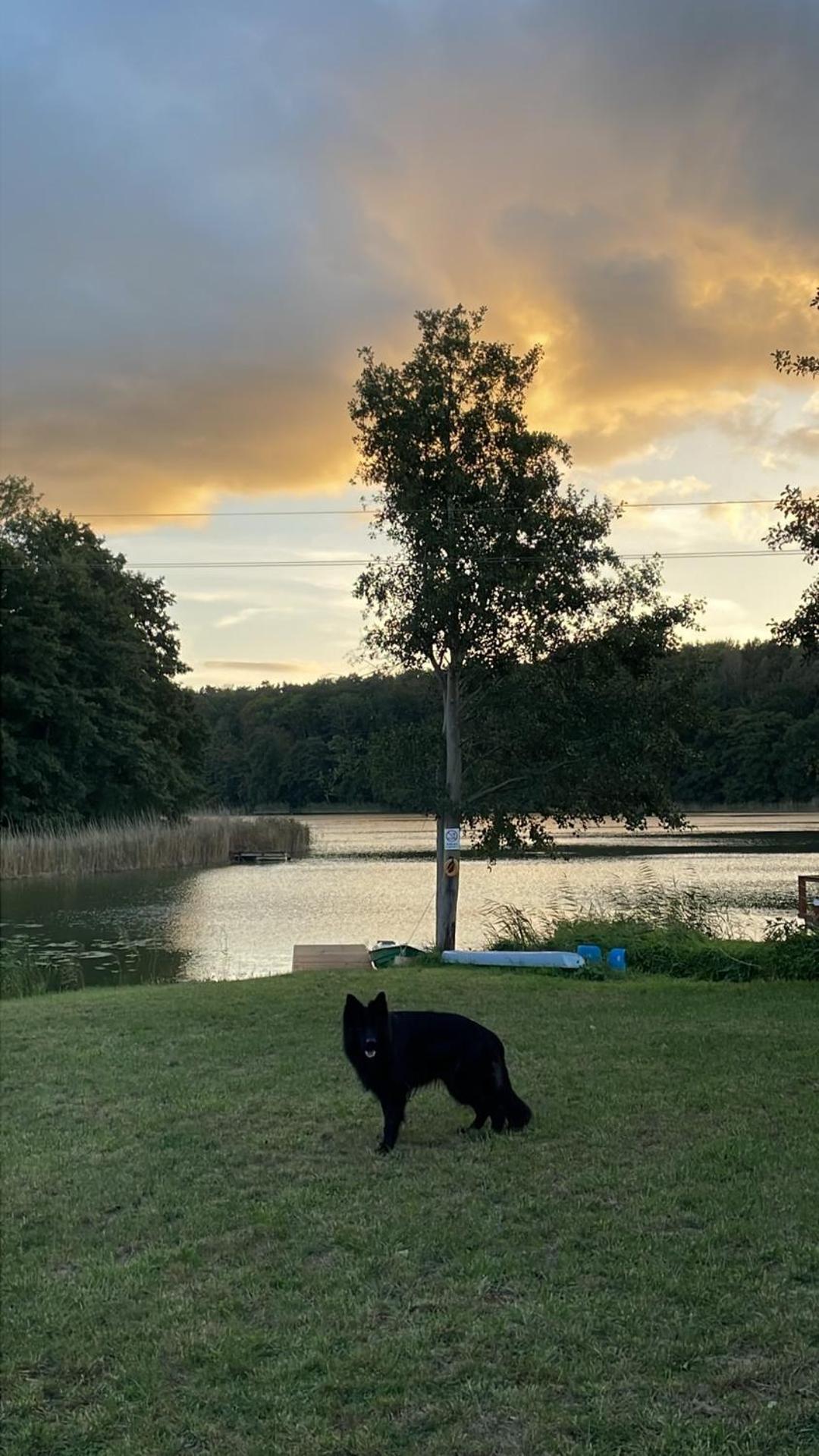 Campingplatz Miedzy Nami Nad Jeziorem